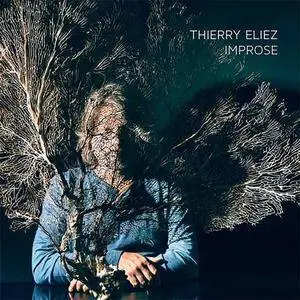 Thierry Eliez - Improse (2017) [Official Digital Download 24/88]