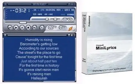 Crintsoft MiniLyrics v6.7.391