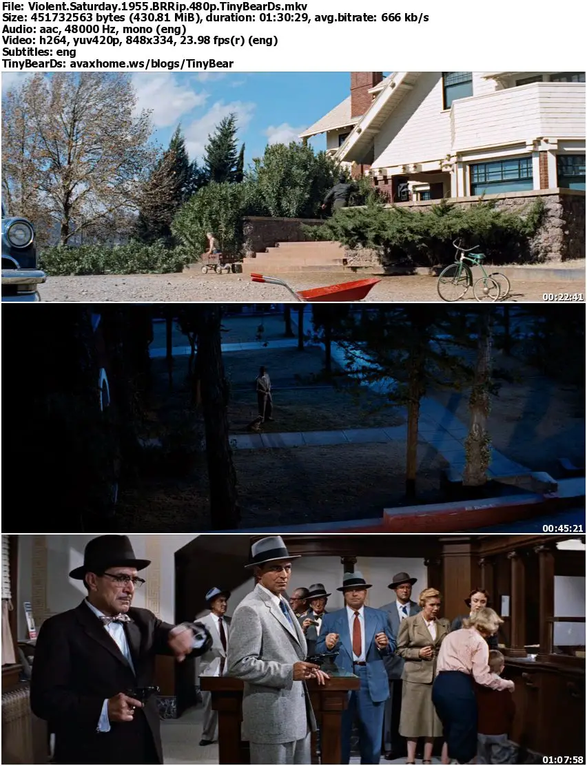 Violent Saturday (1955)