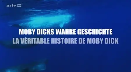 (Arte) La véritable histoire de Moby Dick (2015)