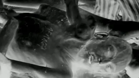 Channel 4 - Holocaust: Night Will Fall (2015)