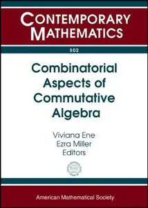 Combinatorial Aspects of Commutative Algebra: Exploratory Workshop on Combinatorial Commutative Algebra and Computer Algebra Ma