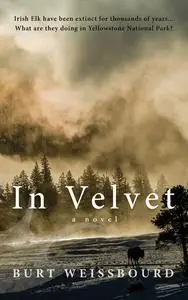 «In Velvet» by Burt Weissbourd