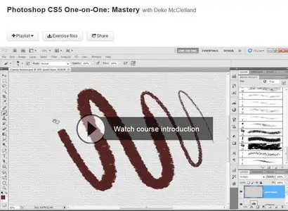 Photoshop CS5 One-on-One: Mastery