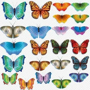 Beautiful butterfly colorful graphics on a transparent background