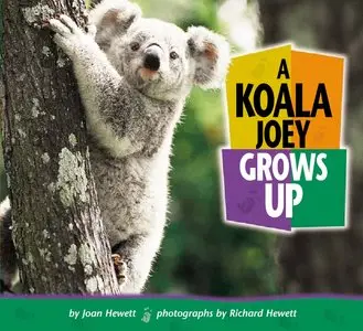 Joan Hewett, Richard Hewett, "A Koala Joey Grows Up (Baby Animals)" (repost)