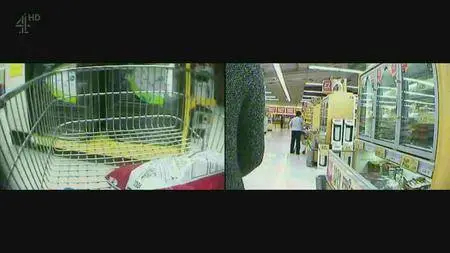 Channel 4 - Dispatches: Addicted To Spending (2016)