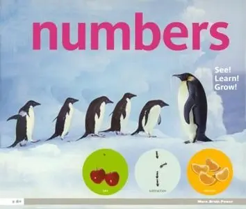 EyeLike Numbers
