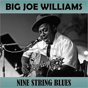 Big Joe Williams - Nine String Blues (2014)