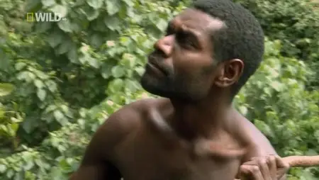 National Geographic Wild - Hunters of The Lost World: Kill to Survive (2012)