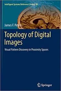 Topology of Digital Images: Visual Pattern Discovery in Proximity Spaces