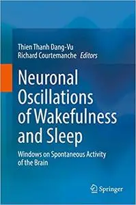 Neuronal Oscillations of Wakefulness and Sleep: Windows on Spontaneous Activity of the Brain