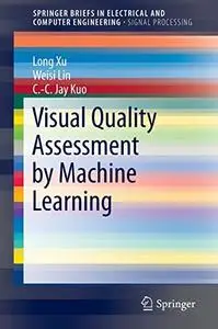 Visual Quality Assessment by Machine Learning (Repost)