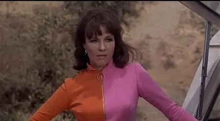 The Ambushers (1967)