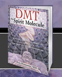 Rick Strassman DMT: The Spirit Molecule: A Doctor's Revolutionary Research