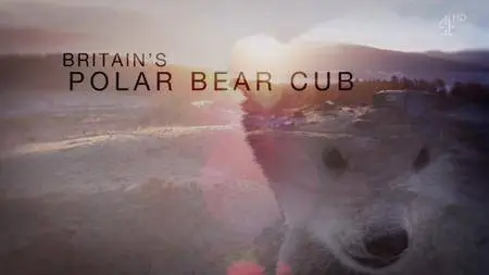 Channel 4 - Britain's Polar Bear Cub (2018)