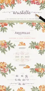 Aristelle Font