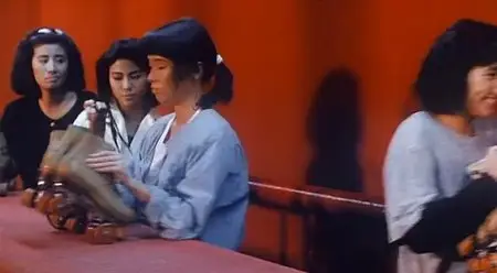 The Inspector Wears Skirts (1988)