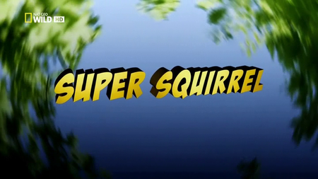 Nat Geo Wild - Super Squirrel (2015)