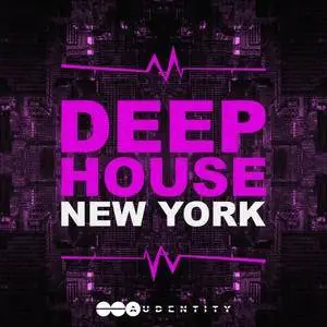 Audentity - Deep House New York WAV MiDi