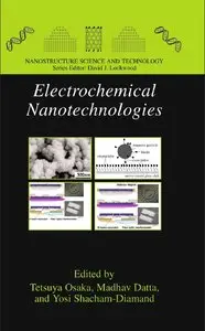 Electrochemical Nanotechnologies (Nanostructure Science and Technology) (repost)