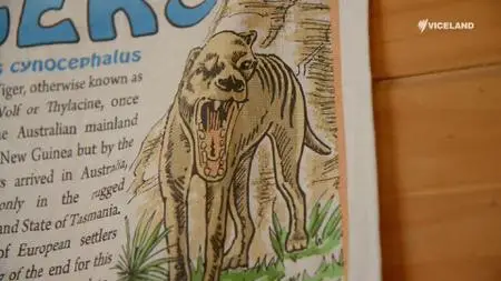 Searching for the Tassie Tiger (2022)