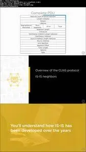 Juniper Networks JNCIS-ENT: Intermediate System to Intermediate