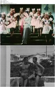 Before Stonewall (1984)