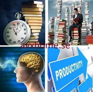 Iris Reading Focus memory, Mind Maping, Productivity, Comprehension, Memory Improvement & Foundations Course