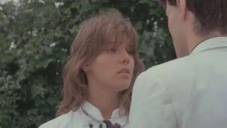 Der Fan (1982)