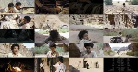 Theeb (2014)