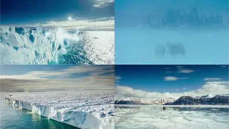 IMAX - To the Arctic (2012)