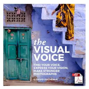 The Visual Voice: Find Your Voice, Express Your Vision, Make Stronger Photographs