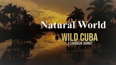 BBC - Natural World : Wild Cuba a Caribbean Journey Part 1 (2020)