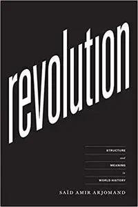 Revolution: Structure and Meaning in World History