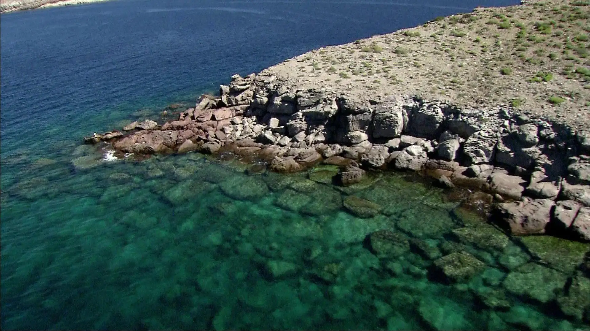 Water Life - Planet Water (2009)