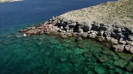 Water Life - Planet Water (2009)