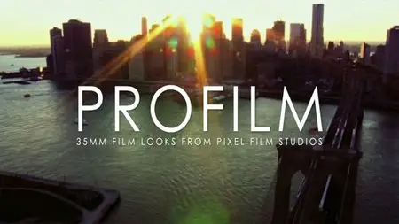 Profilm - Professional Filmic Looks for Final Cut Pro X 