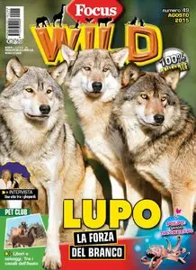 Focus Wild - Agosto 2015