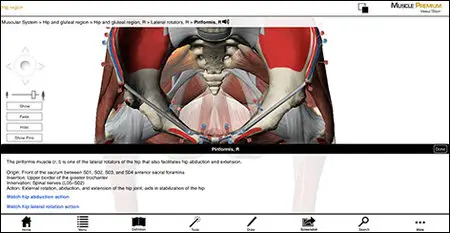 Visible Body Muscle Premium v3.1.3
