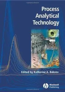 Process Analytical Technology: Spectroscopic Tools and Implementation Strategies for the Chemical and Pharmaceutical Industries