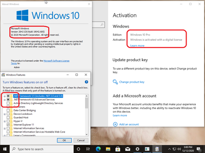 Windows 10 Pro 20H2 10.0.19042.685 With Office 2019 Pro Plus Preactivated Multilanguage December 2020