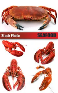 Stock Photo - Seafood, Lobsters