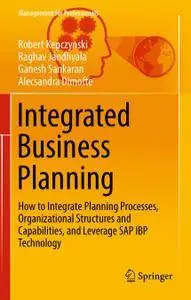 Integrated Business Planning (Repost)