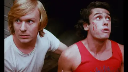 I Drink Your Blood (1971)