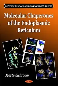 Molecular Chaperones of the Endoplasmic Reticulum