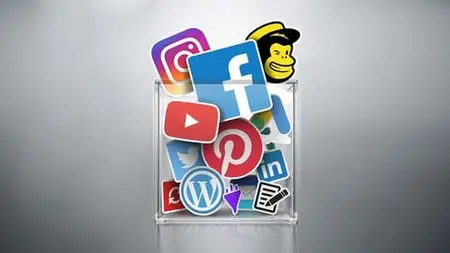 VIP Digital Marketing Master Course : 31 Courses in 1