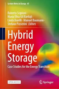 Hybrid Energy Storage: Case Studies for the Energy Transition (Repost)