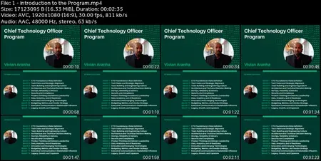 Certified Chief Technology Officer(CTO) Mastery Program
