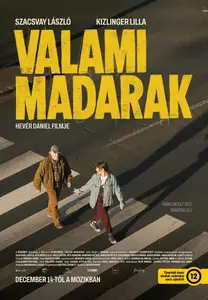 Some Birds (2023) Valami madarak
